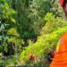 Tim SAR Temukan 3 Korban Minibus Masuk Jurang di Sumut