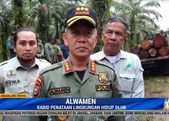 Pembalak Liar di Habitat Harimau Sumatra Tertangkap Tangan