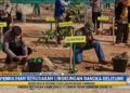 Pulihkan Lingkungan Eks Lahan Tambang Ilegal dengan Reboisasi