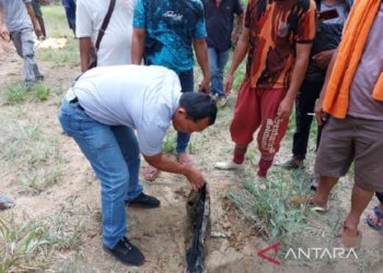 Pria Paruh Baya di Siak Tewas Diduga Diinjak Gajah