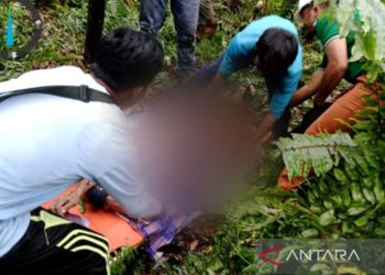 Pekerja HTI di Inhil Riau Tewas Diduga Diterkam Harimau