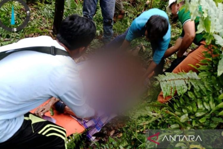 Pekerja HTI di Inhil Riau Tewas Diduga Diterkam Harimau