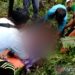 Pekerja HTI di Inhil Riau Tewas Diduga Diterkam Harimau