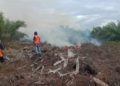 Lima Hektare Lahan Sawit Terbakar di Aceh