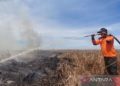 Puluhan Hektare Lahan di Riau Terbakar