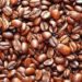 Kopi Arabika Sipirok Masuk Pasar Australia dan China
