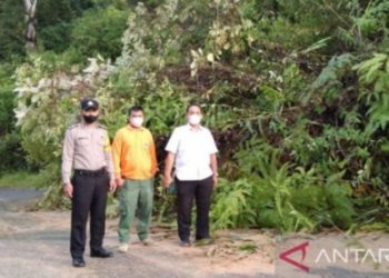 Hujan Sebabkan Jalan Provinsi di Tapanuli Selatan Tertimbun Longsor