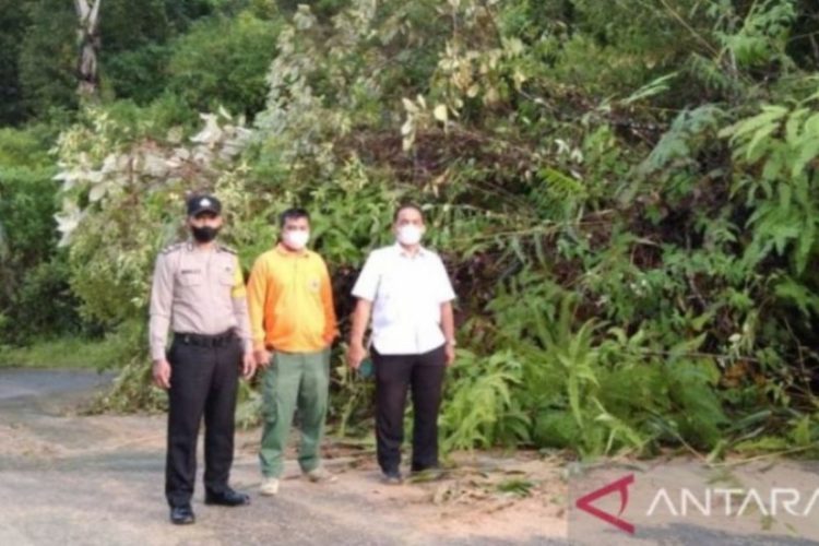 Hujan Sebabkan Jalan Provinsi di Tapanuli Selatan Tertimbun Longsor