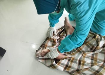 Petik Kopi Saat Hujan, Empat Petani Tesambar Petir, 2 Tewas