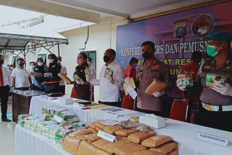 Polda Sumut Temukan 2 Hektare Ladang Ganja di Madina