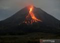 Gunung Merapi Siaga, Keluarkan Awan Panas Guguran
