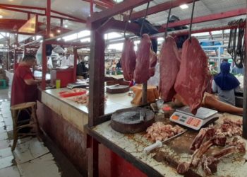 Permintaan Sapi di Aceh Meningkat Jelang Ramadan