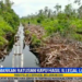 Ratusan Batang Kayu Hasil Perambahan Hutan Ditemukan di Perbatasan Sumsel-Jambi