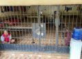 Kasus Kerangkeng di Langkat, Polda Sumut Tetapkan 8 Tersangka