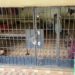 Kasus Kerangkeng di Langkat, Polda Sumut Tetapkan 8 Tersangka