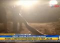 Bangkai Ular Piton 10 Meter Ditemukan di Perkebunan Sawit