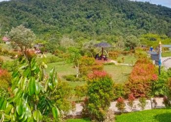 Destinasi Wisata Kebun Raya Liwa Sedot 5.076 Pengunjung