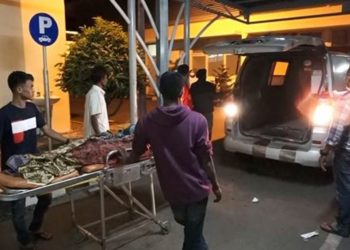 Pulang dari Kebun, Dua Warga Aceh Tewas Ditembak Orang Tak Dikenal