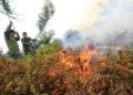 Pemadaman Kebakaran Lahan di Nangan Raya Terkendala Air