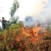 Pemadaman Kebakaran Lahan di Nangan Raya Terkendala Air