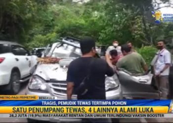 Mobil Travel Tertimpa Batang Pohon di Bengkulu, Satu Pemudik Tewas