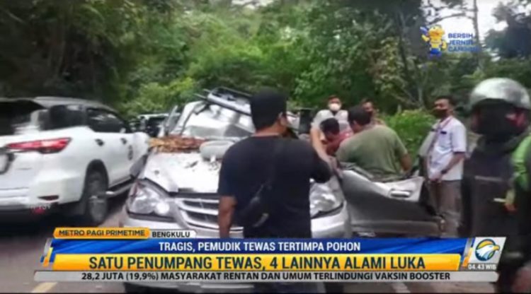 Mobil Travel Tertimpa Batang Pohon di Bengkulu, Satu Pemudik Tewas