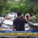 Mobil Travel Tertimpa Batang Pohon di Bengkulu, Satu Pemudik Tewas