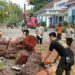 Angin Kencang Tumbangkan Pohon Setinggi 15 Meter di Padang