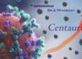 Subvarian Centaurus Berpotensi Perpanjang Masa Gelombang Covid-19