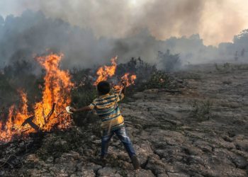 BMKG Ingatkan Potensi Karhutla di Sumsel