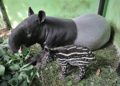 Tapir Bernama Kasih Lahirkan Erli di Taman Rimbo Jambi