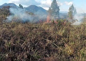 5,5 Hektare Lahan Perkebunan di Aceh Terbakar
