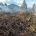 5,5 Hektare Lahan Perkebunan di Aceh Terbakar
