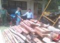 Polisi Tangkap Pembalak Hutan di Muarojambi Berikut Ratusan Batang Kayu