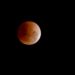 Hari Ini Gerhana Bulan Total Bisa Dilihat di Indonesia