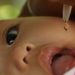 Cegah Kelumpuhan, Bengkulu Percepat Vaksin Polio