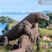 Asosiasi Wisata Sambut Baik Pembatalan Tiket Masuk Komodo Rp3,75 Juta