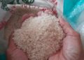 Kelaparan Meningkat, Kepala Program Pangan Dunia PBB Mengundurkan Diri