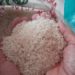 Kelaparan Meningkat, Kepala Program Pangan Dunia PBB Mengundurkan Diri
