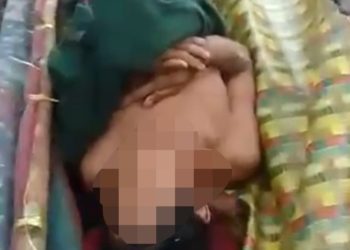 Lokasi Warga Siak Riau Tewas Diterkam Harimau Habitat Satwa Liar