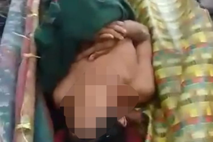 Lokasi Warga Siak Riau Tewas Diterkam Harimau Habitat Satwa Liar