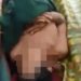 Lokasi Warga Siak Riau Tewas Diterkam Harimau Habitat Satwa Liar