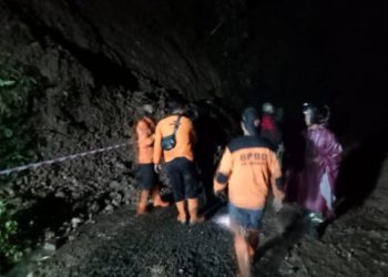 Dua Pekerja Tambang Timah Tewas Tertima Longsor di Bangka