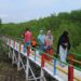 Pemkot Bandar Lampung Programkan Kawasan Wisata Hutan Mangrove di Pulau Pasaran