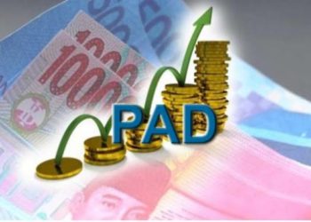 Pemprov Babel Lirik Program E-Samdes Pemprov Lampung