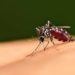 Aktivitas Tambang Bijih Timah Picu Kasus Malaria di Babel