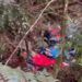 Evakuasi Rombongan Kapolda Jambi di Kerinci Dilanjutkan Besok