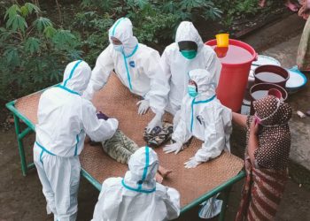 Diduga Alami Difteri Bocah Sembilan Tahun di Lampung Barat Meninggal