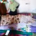 Tokoh Pers Lampung Bambang Eka Wijaya Berpulang