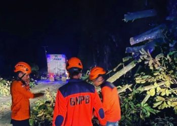 Usai Tertutup Longsor, Kini Akses Jalan Sumbar-Riau Sudah Bisa Dilewati